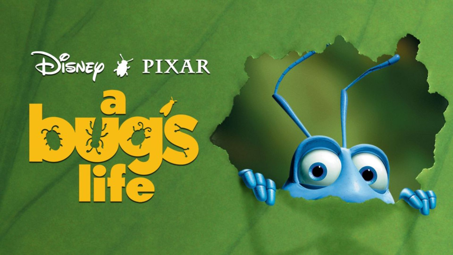 A Bug’s Life