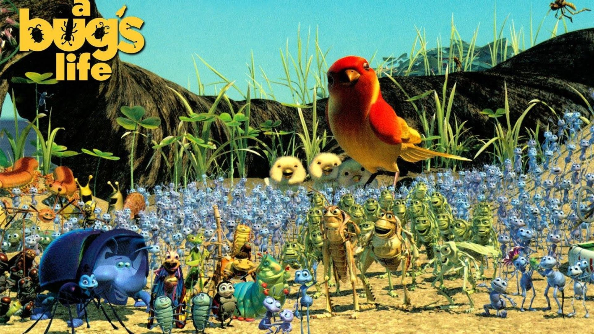 A Bug’s Life