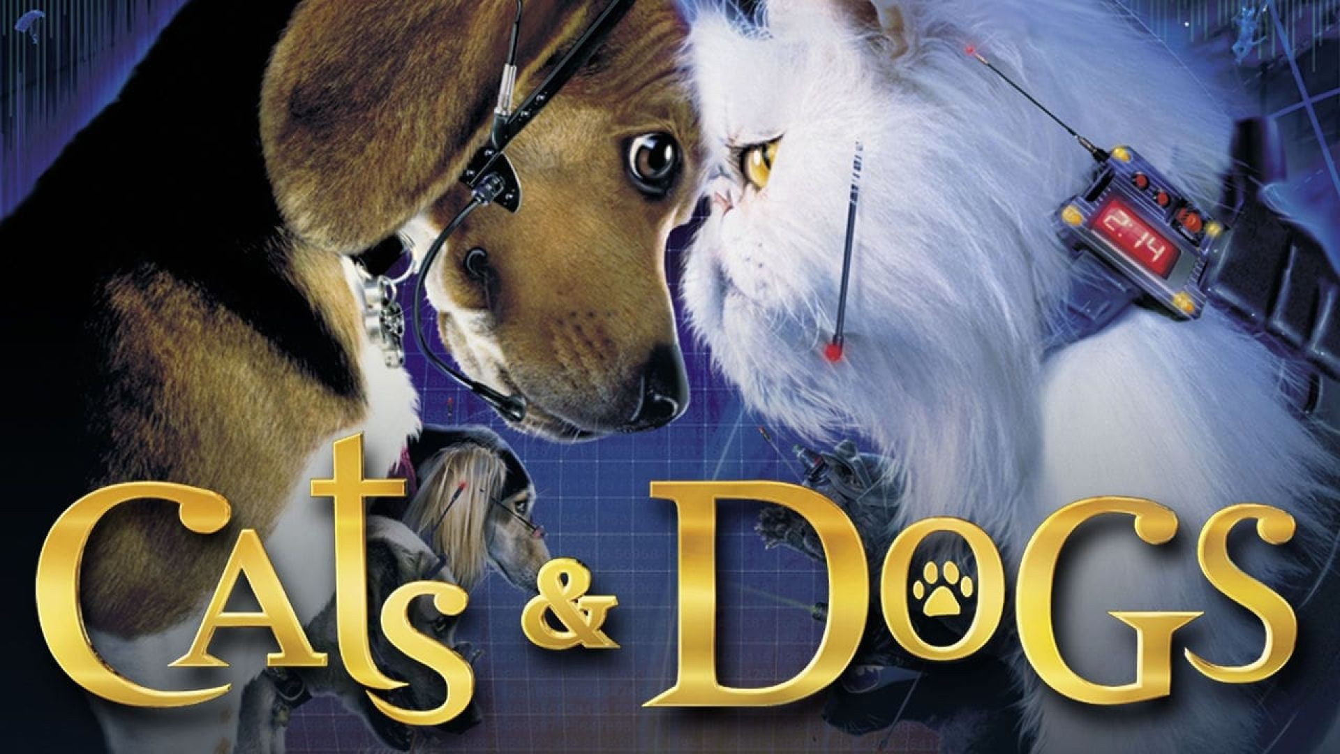 Cat and Dog